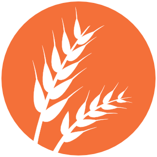 Gluten